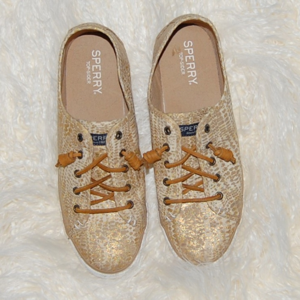 Sperry Canvas Lace Up